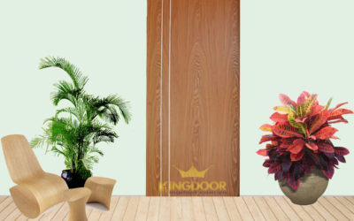Chuyên sản xuất và cung cấp cửa gỗ công nghiệp, Cửa gỗ HDF, Cửa gỗ HDF Veneer, cửa nhựa ABS Hàn quốc. giá cửa gỗ công nghiệp. Hotline: 0919707355 - kingdoor.com.vn